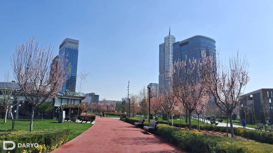 O‘zbekistonda harorat 28 darajagacha ko‘tarilishi kutilmoqda